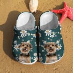 clogs-pet-face-floral