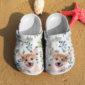 clogs-slipper-pet-name