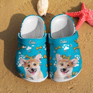 clogs-slipper-pet-name