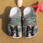 clogs-slippers-pet-name