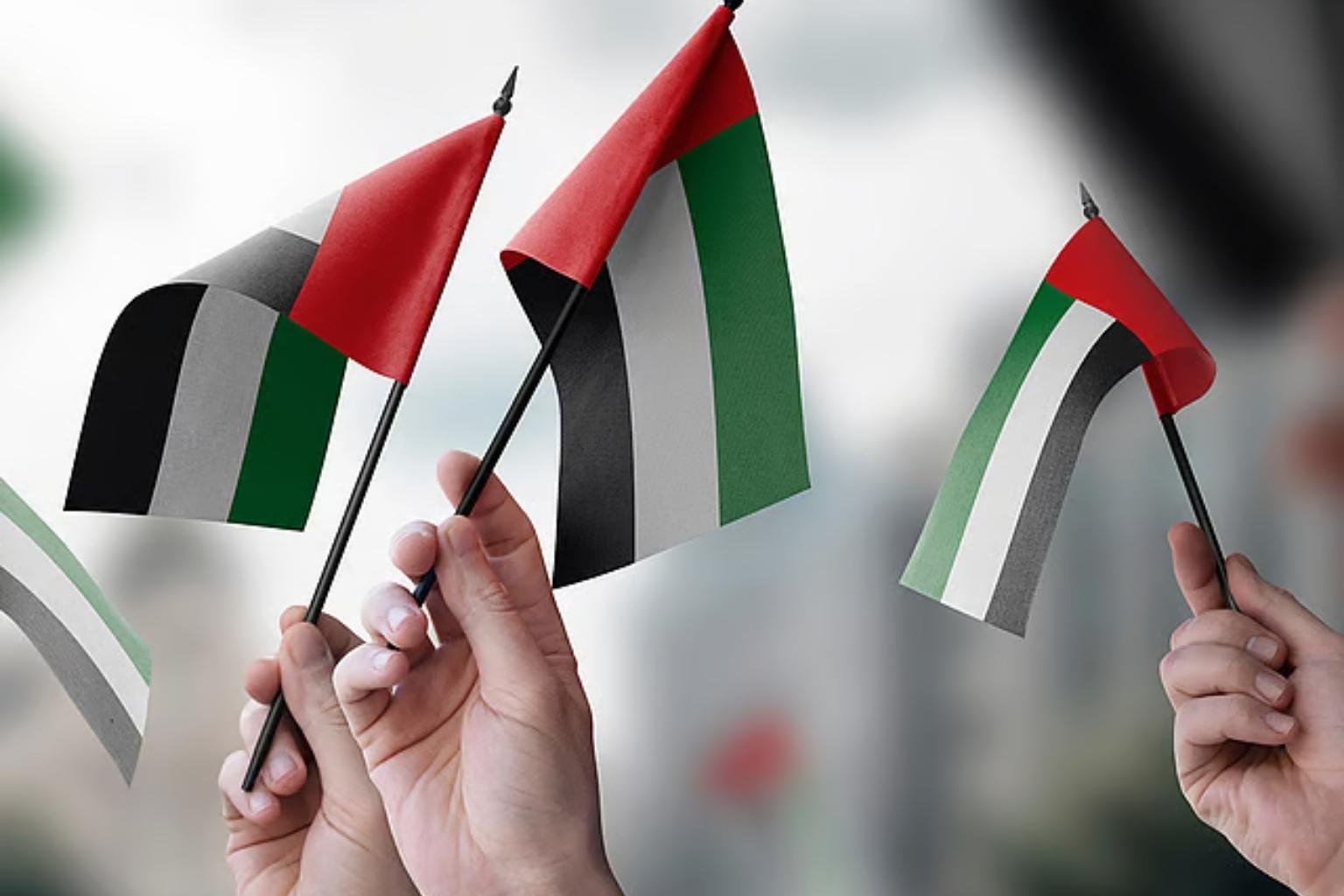 UAE Flag Etiquette: The Official Do’s and Don’ts for Displaying the National Flag