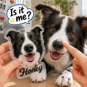 Personalized custom pet photo acrylic magnet featuring a Border Collie dog with a custom name in bold script. Made from your pet's photo, this die-cut refrigerator magnet captures your dog’s unique face in vibrant detail, creating a fun keepsake for pet lovers. A thoughtful gift for dog moms, dog dads, pet birthdays, pet memorials, Christmas, housewarmings, and special occasions, perfect for decorating refrigerators, lockers, office cabinets, and magnetic surfaces.