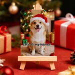 I’ve received the image. Please let me know what you would like me to do with it (for example: create product description, write ALT text, improve image quality, remove/change background, add logo, make Amazon listing image, etc.).